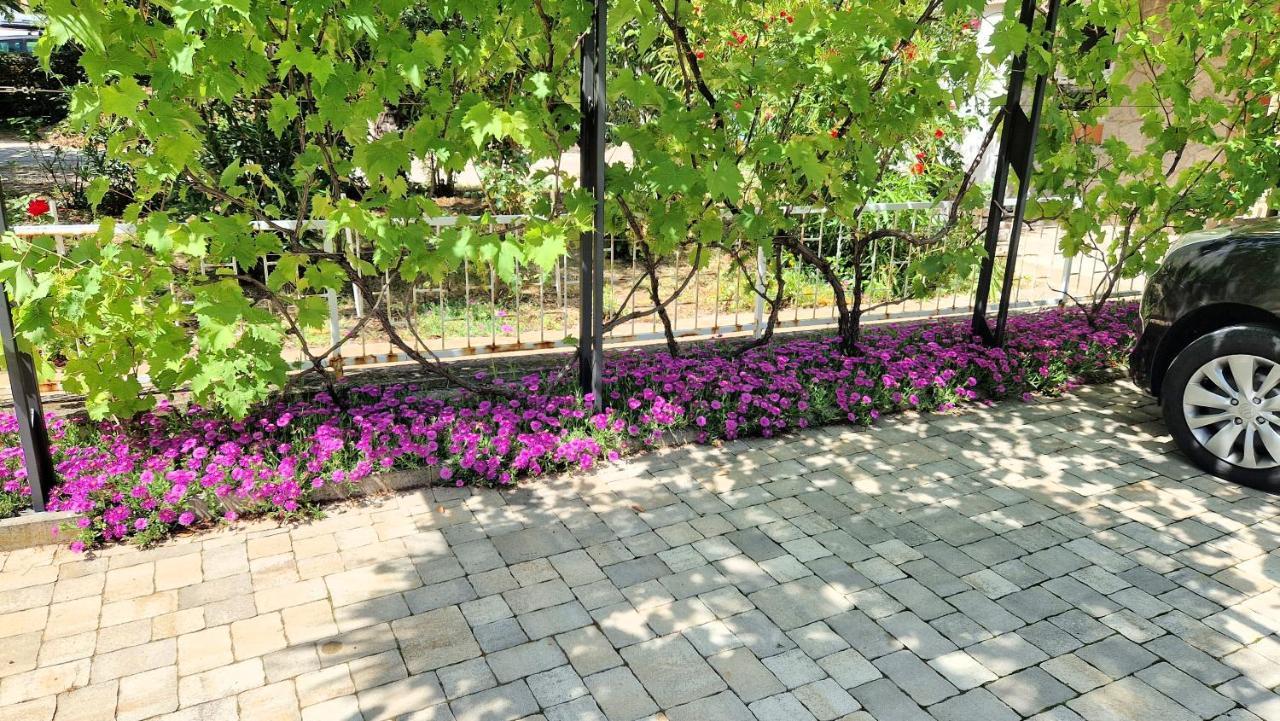 Apartment Pipo คิร์ก ภายนอก รูปภาพ
