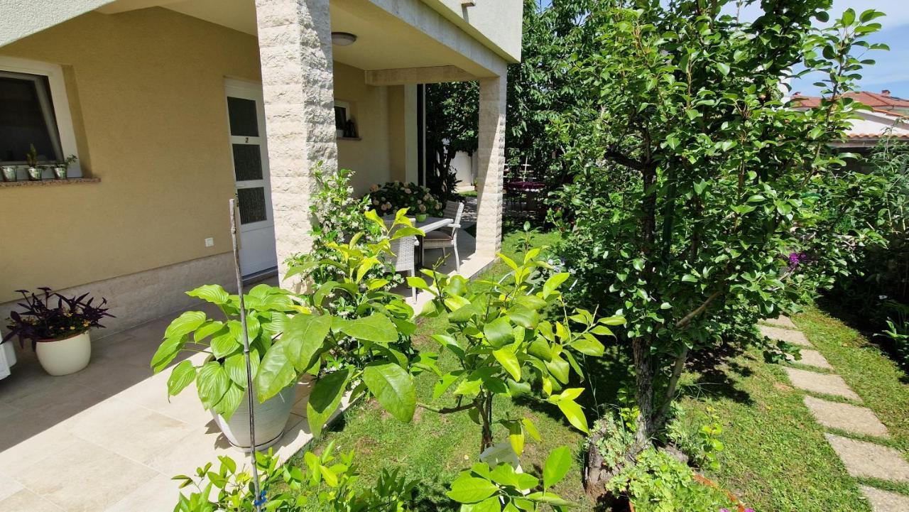 Apartment Pipo คิร์ก ภายนอก รูปภาพ